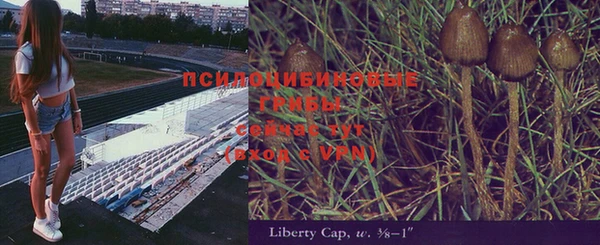 мескалин Баксан